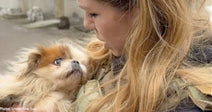 Terrified Dogs Rescued from Frontlines in Ukraine