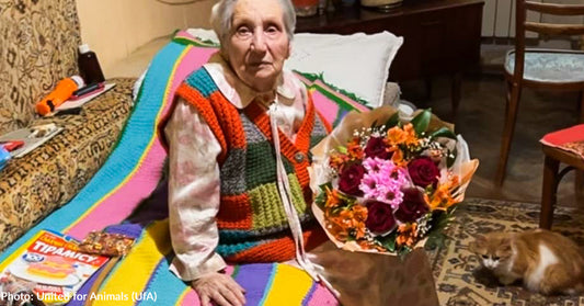 Ukraine Woman Has Just One Wish For Her 100th Birthday - Food For Her Cats