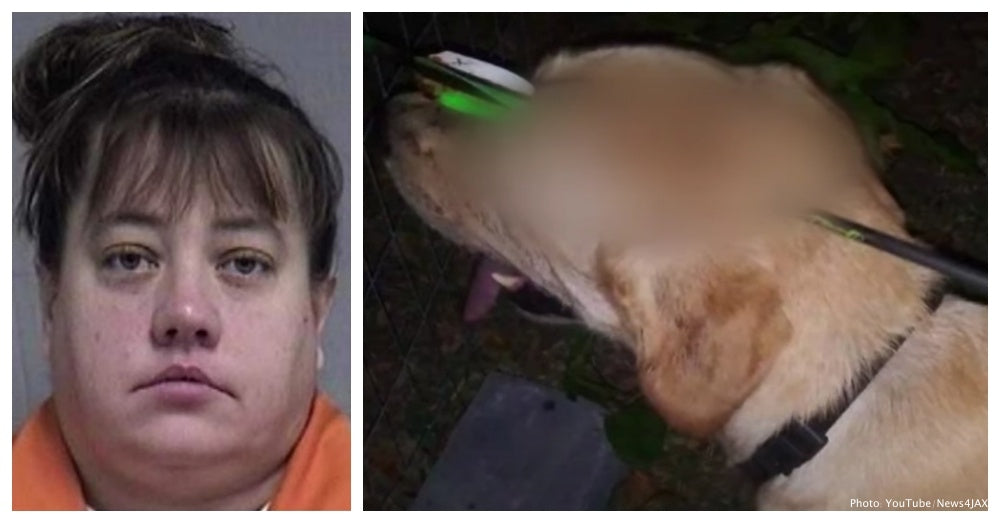 Woman Arrested After Shooting Dog In Head With Crossbow