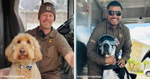 Split image showing two delivery drivers posing with friendly dogs inside delivery trucks.