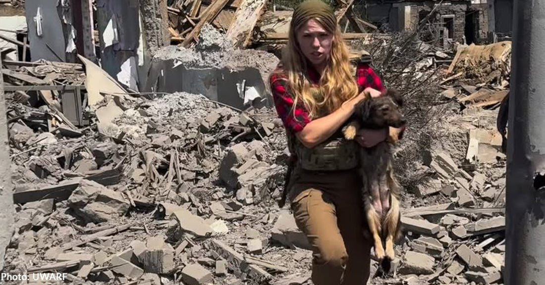 Russian Missiles Hit Ukrainian Homes with Children and Dogs Inside