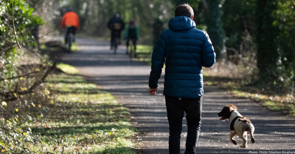 4 Secret Health Benefits You Can Only Get From Walking With A Dog