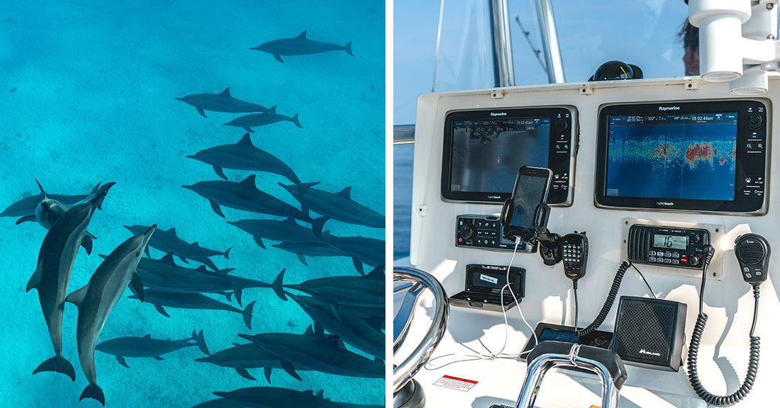 Left: Pod of dolphins swimming together beneath the surface; Right: Boat dashboard with sonar equipment and marine navigation displays.