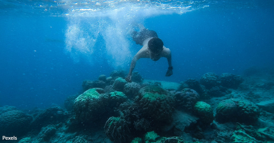 World Reef Day: Raising Awareness for Coral Reef Conservation