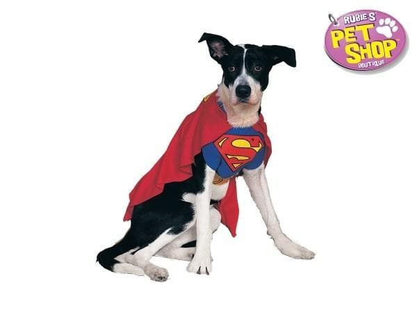 Superman Dog Costume