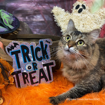 Halloween Treats for Shelter Animals
