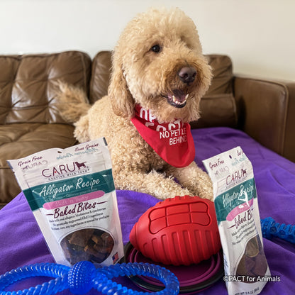 Happy Birthday Animal Rescue Site | Send Presents to Dogs & Cats