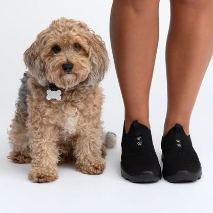 Small dog sitting next to a person wearing black slip-on shoes on a white background