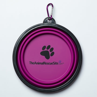 Collapsible Silicone Travel Pet Bowl