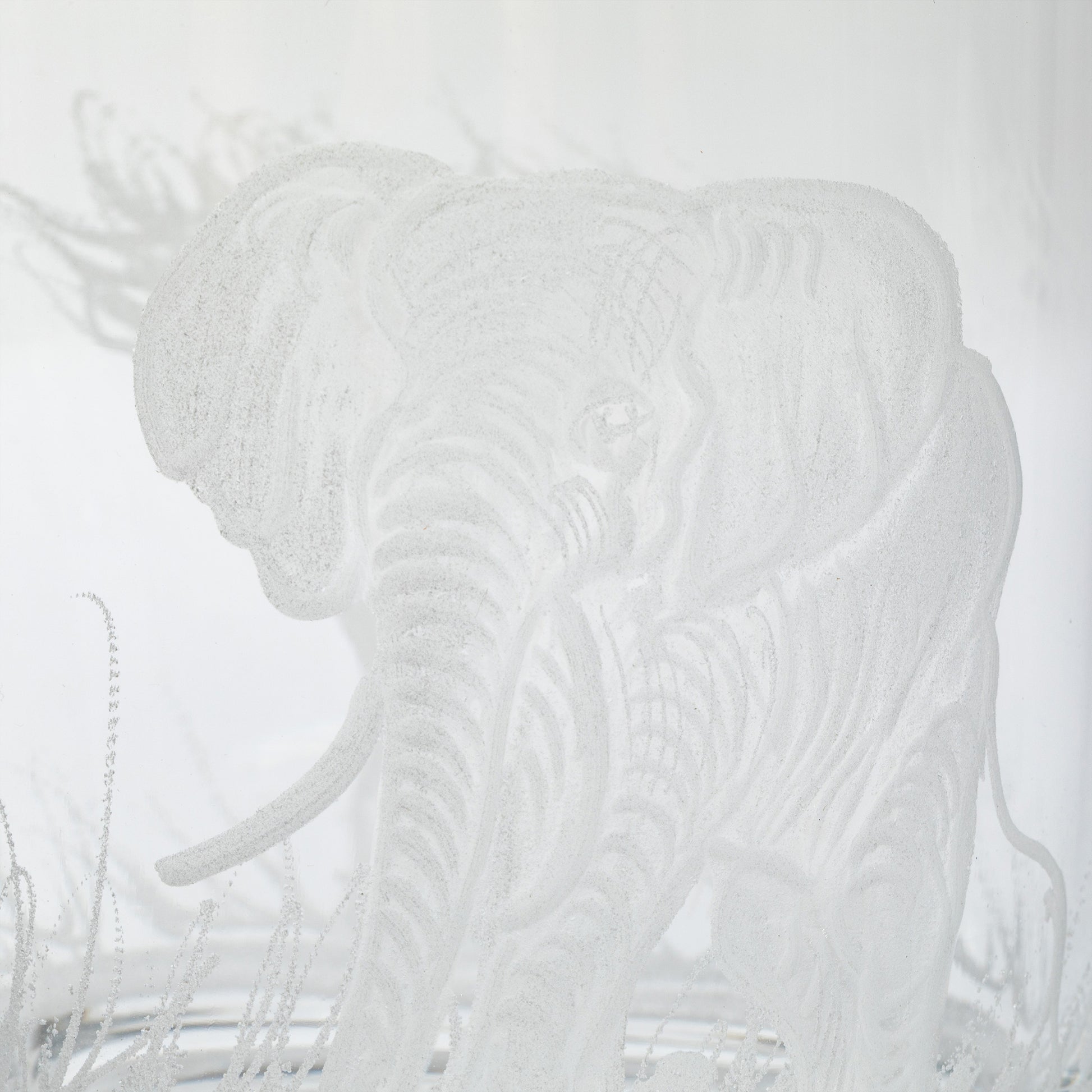 White elephant silhouette on a clear glass on a white background