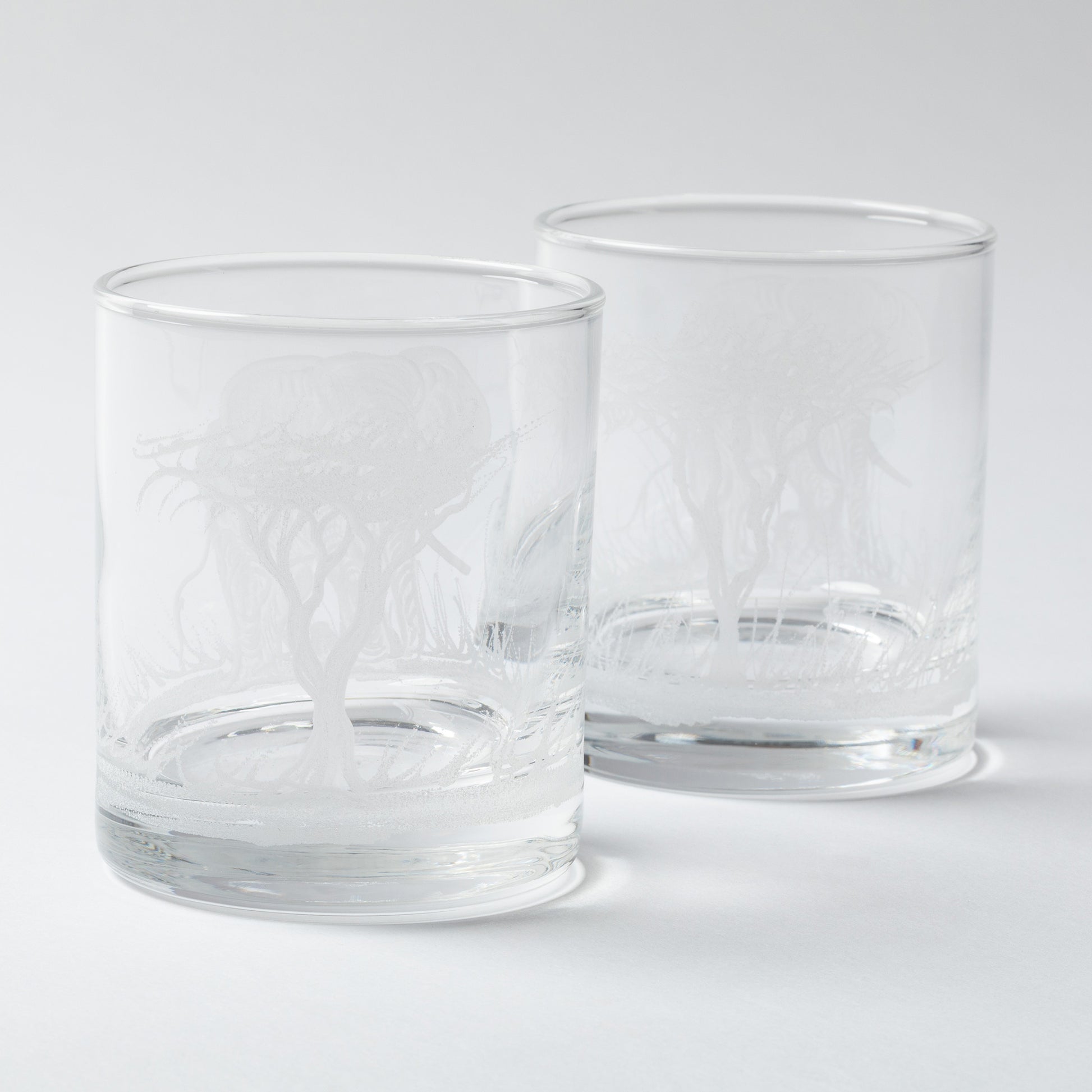 Two clear glass tumblers on a white background