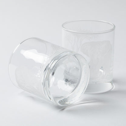 Two clear recycled whiskey glasses on a light gray background