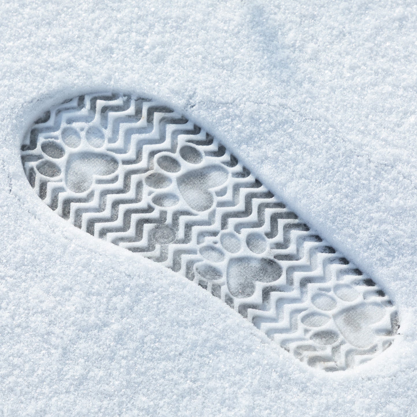 All Over Paws Faux Suede Slide-in Ankle Boots