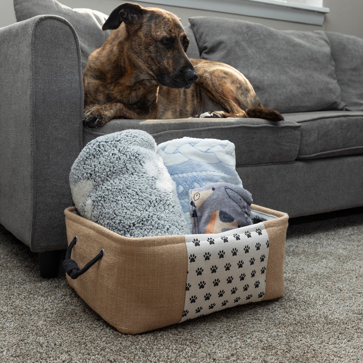 Paw Print Storage Basket with Handles