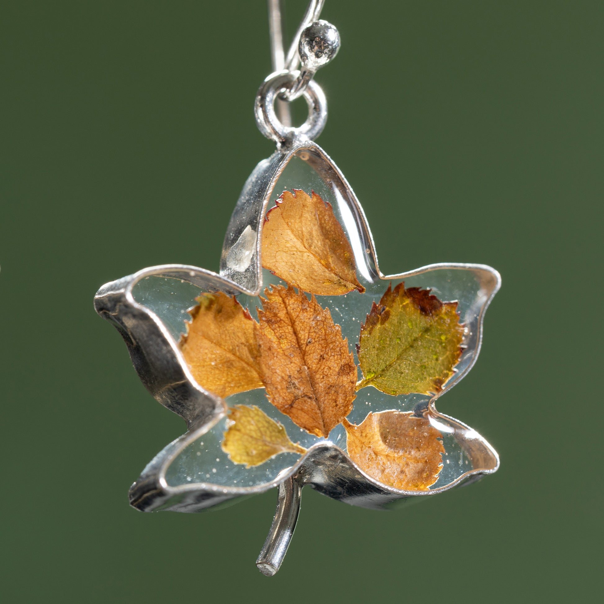 Maple leaf-shaped single earring with embedded dried leaves on a green background