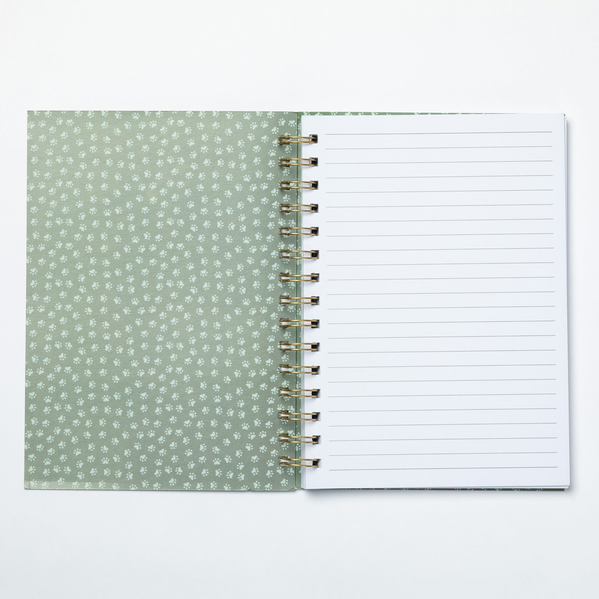 Open notebook with green dotted cover and white lined pages on a light gray background