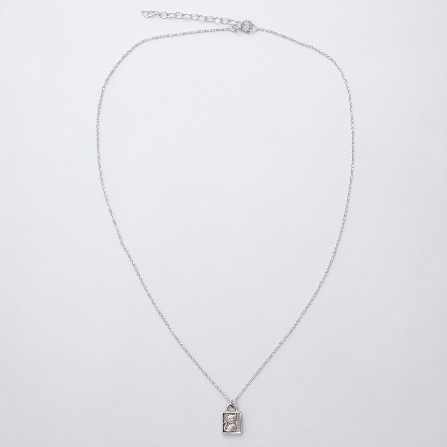 Silver necklace with a pendant on a light gray background