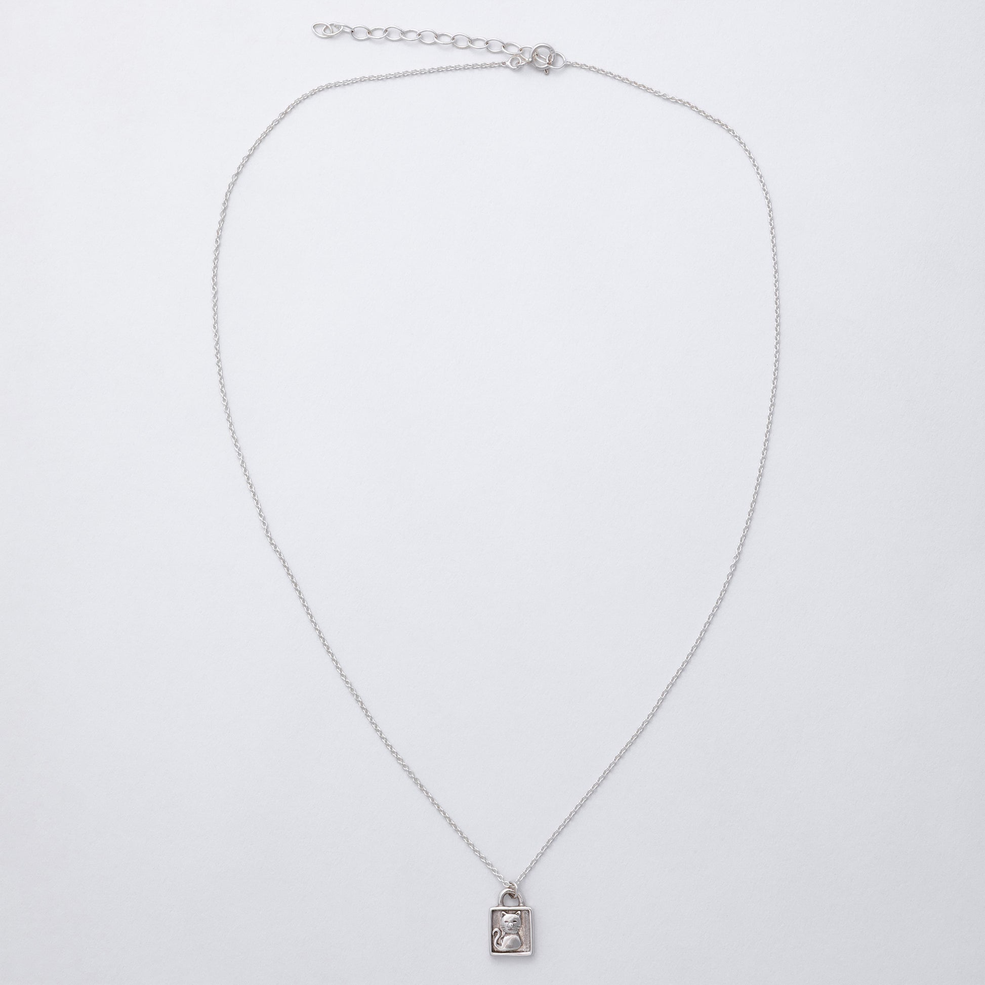 Silver necklace with a pendant on a light gray background