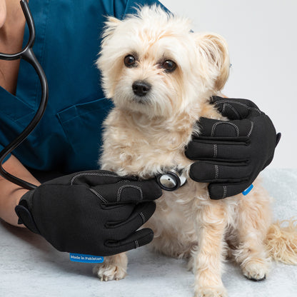 Small dog being examined by a person wearing black gloves with a stethoscope, on a light gray background.
