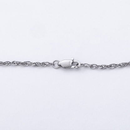 A close-up of a silver-toned metal chain necklace with a lobster clasp, shown against a plain white background.