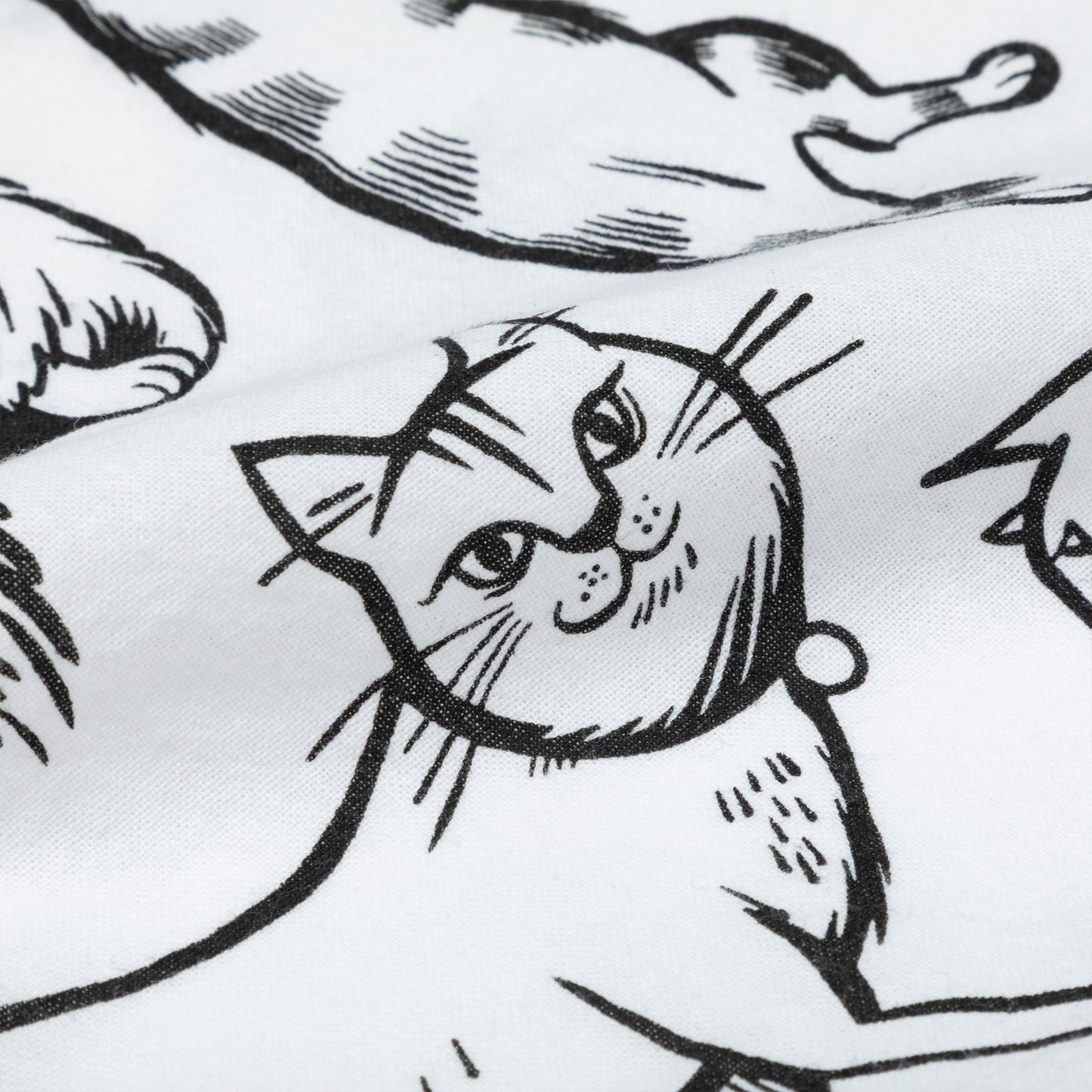 Black and white illustration of a cat on a white background