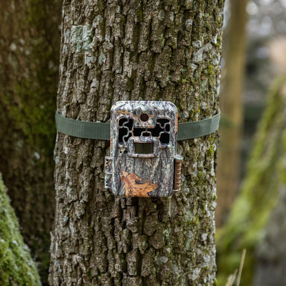 Provide Housing & Protection for Bats