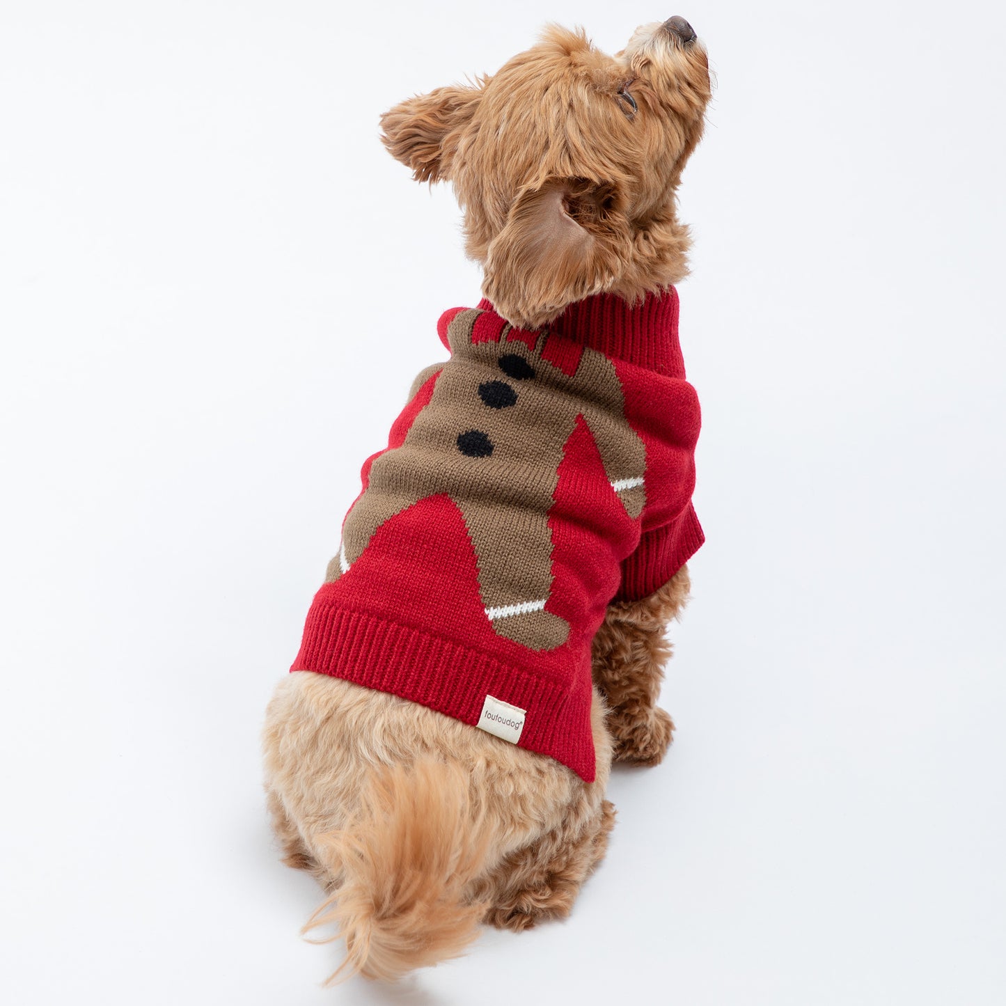 Cozy Christmas Pet Sweater