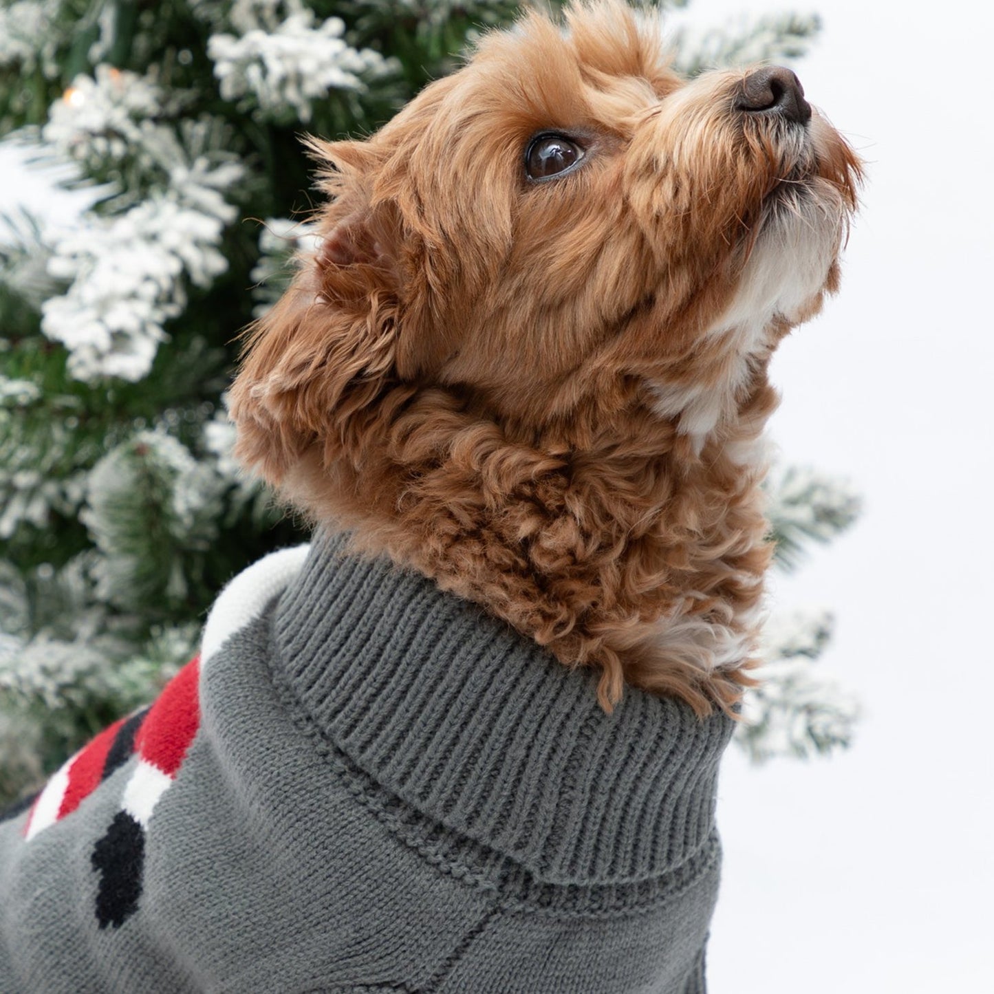 Cozy Christmas Pet Sweater