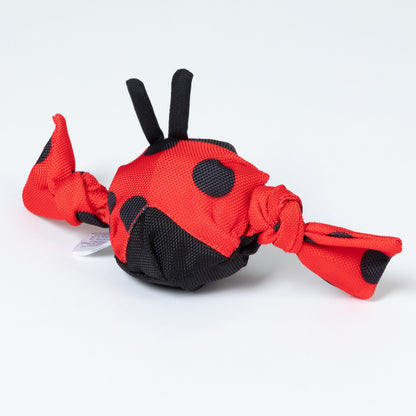 Jolly Pets Jolly Tug&trade; Insect Medium Dog Toy