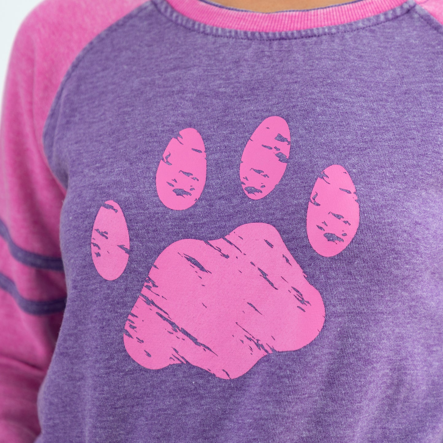 Paw Stripe Burnout Crewneck Sweatshirt