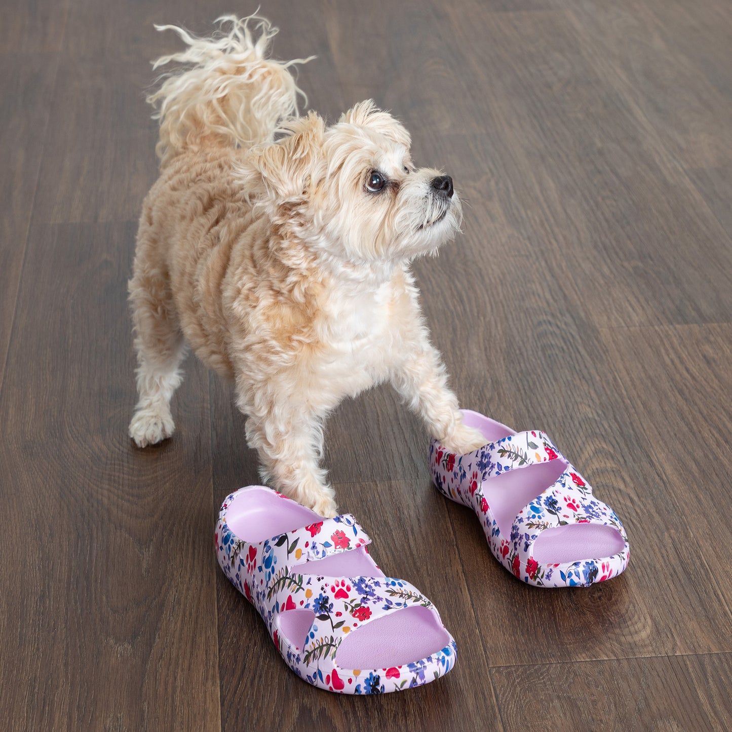 Positively Inspired Slide Sandals