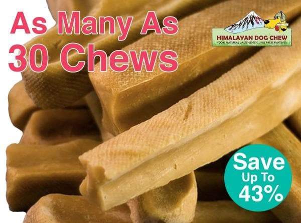 Himalayan Dog Chews - Bulk