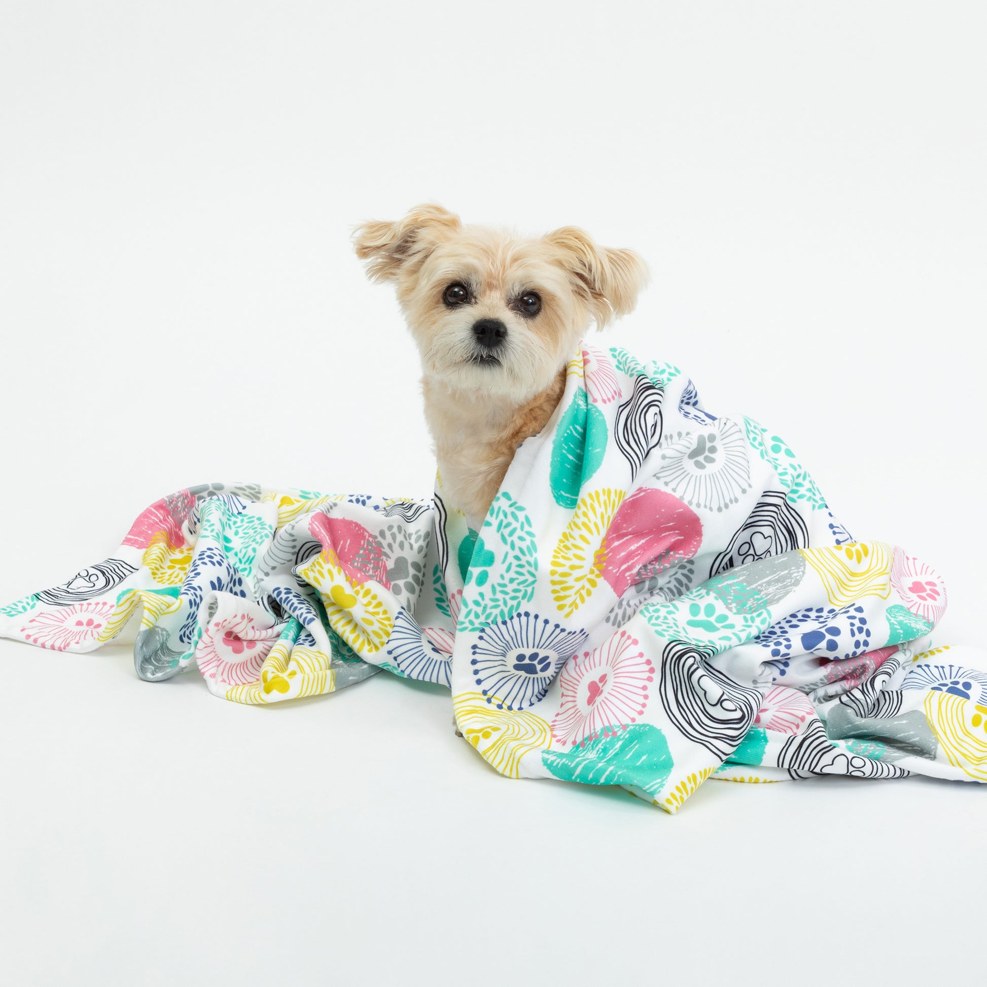 A small fluffy dog wrapped in a colorful patterned towel on a clean white studio background.