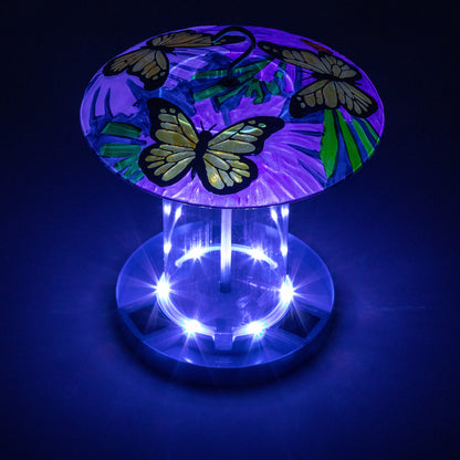 Bright & Bold Solar Bird Feeder