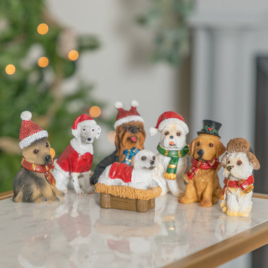 Animal Nativity Set