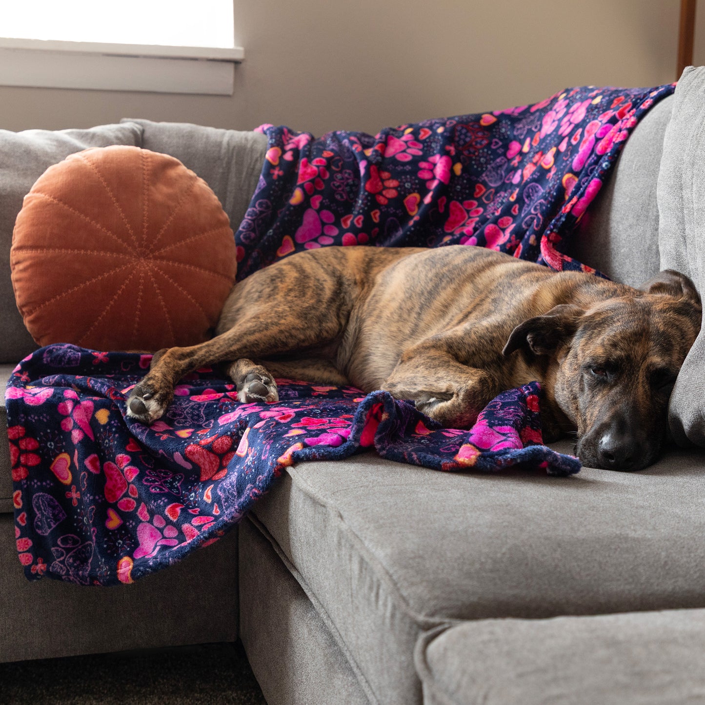 Super Cozy&trade; Pet Blanket