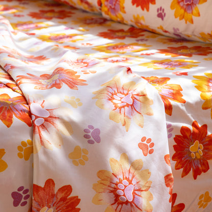 Fun & Fantastic Microfiber Sheet Set