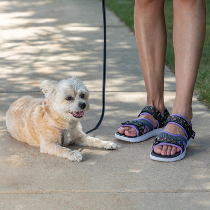 A small white dog lies on a concrete sidewalk while a person stands beside it wearing patterned black and purple slide sandals. The dog is on a black leash, and grass is visible along the right edge of the walkway.