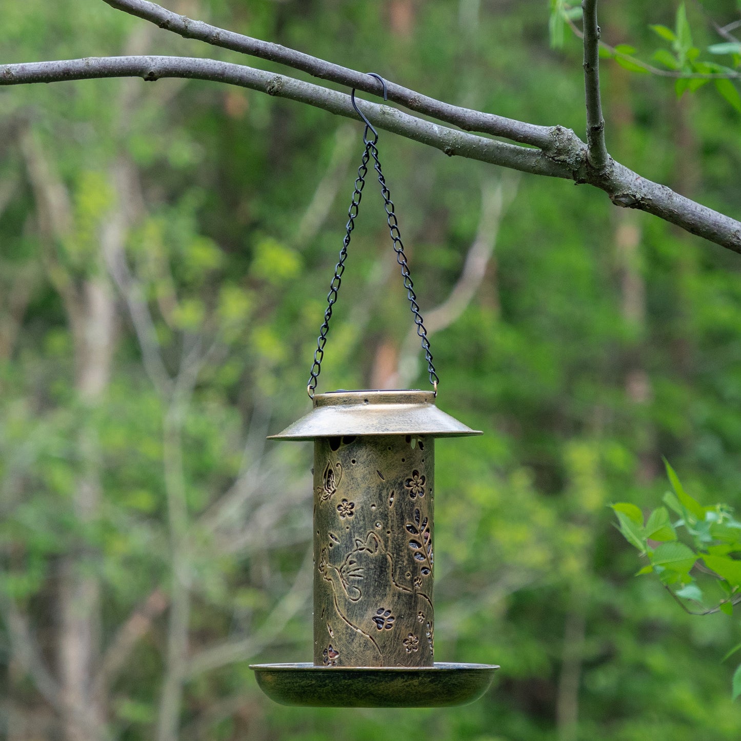 Paws & Flowers Solar Bird Feeder