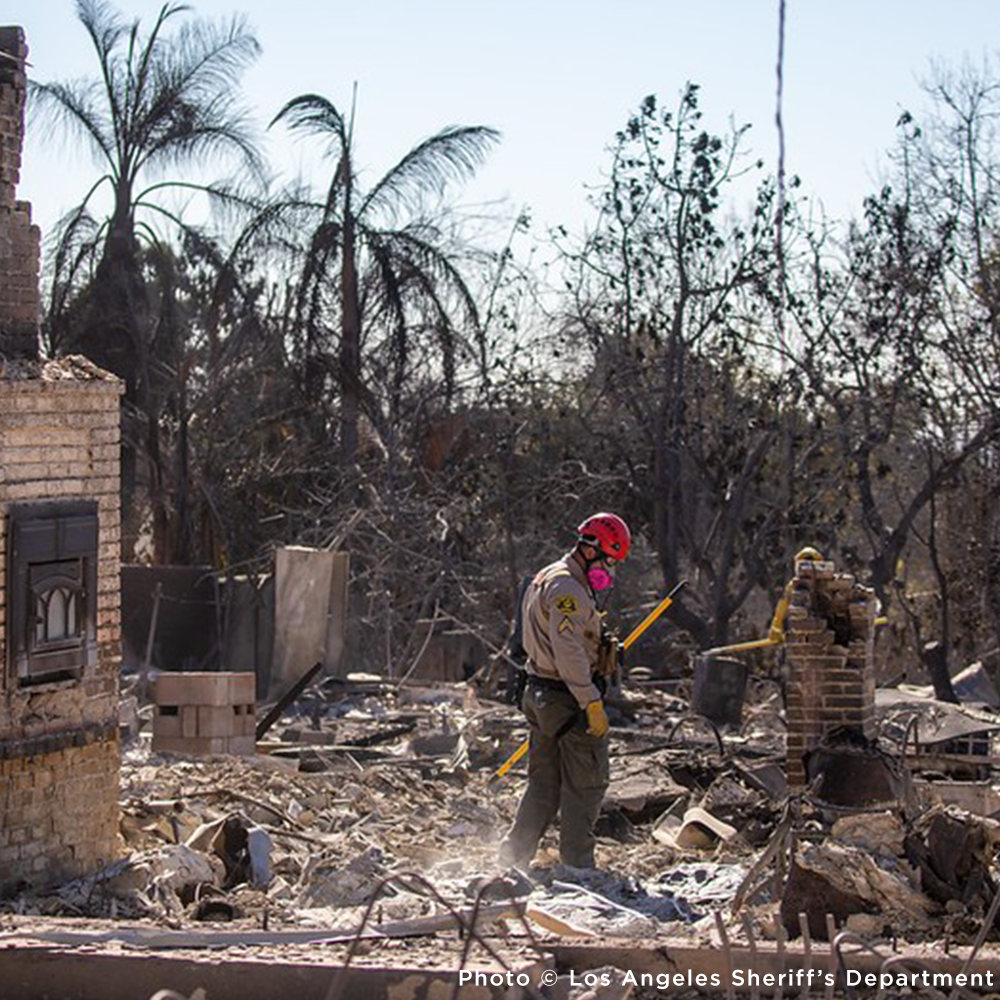 Crisis in California: Rush Aid to People & Pets Devastated by Wildfires