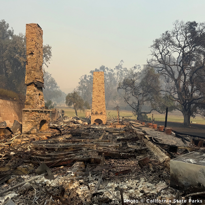 Crisis in California: Rush Aid to People & Pets Devastated by Wildfires