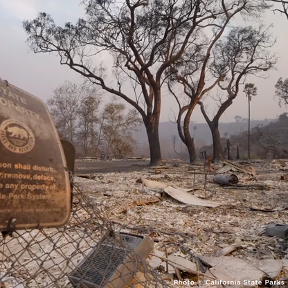 Crisis in California: Rush Aid to People & Pets Devastated by Wildfires