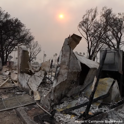 Crisis in California: Rush Aid to People & Pets Devastated by Wildfires