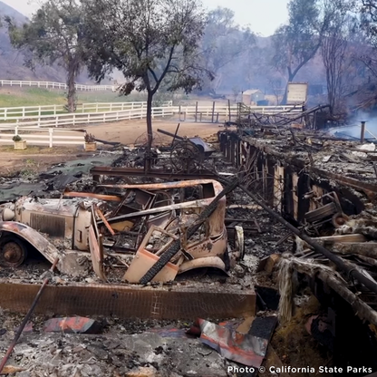 Crisis in California: Rush Aid to People & Pets Devastated by Wildfires