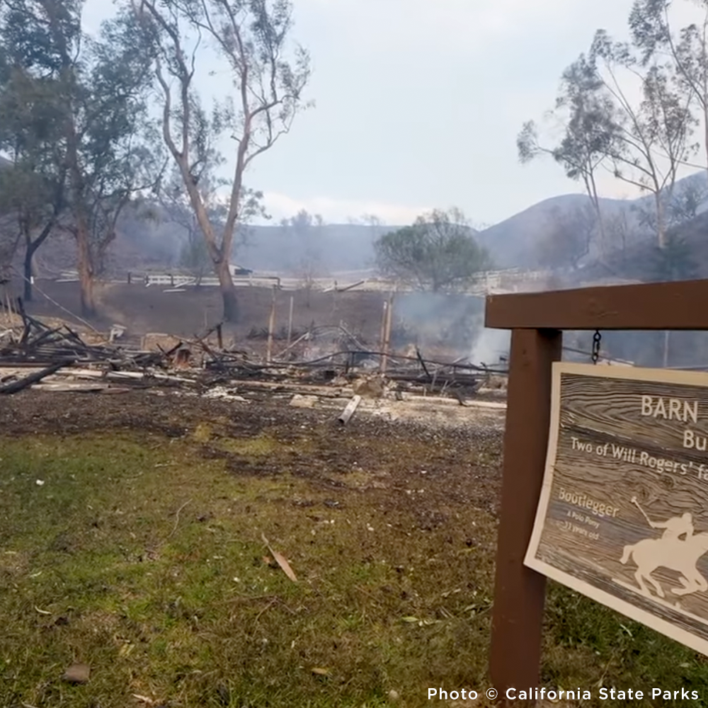 Crisis in California: Rush Aid to People & Pets Devastated by Wildfires