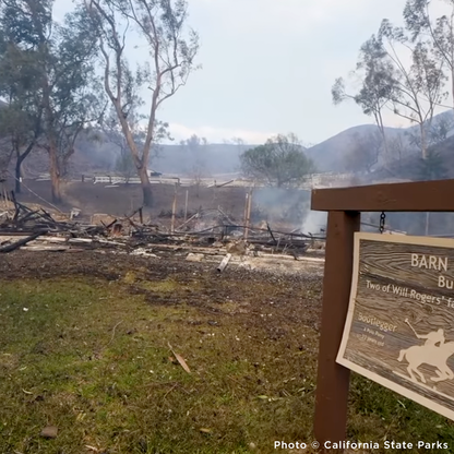 Crisis in California: Rush Aid to People & Pets Devastated by Wildfires