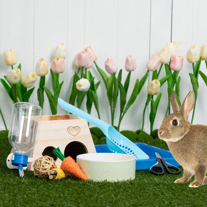 Send Supplies & Goodies To Rescued Bunnies