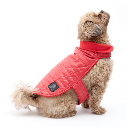 AKC Belly Band Dog Puff Coat