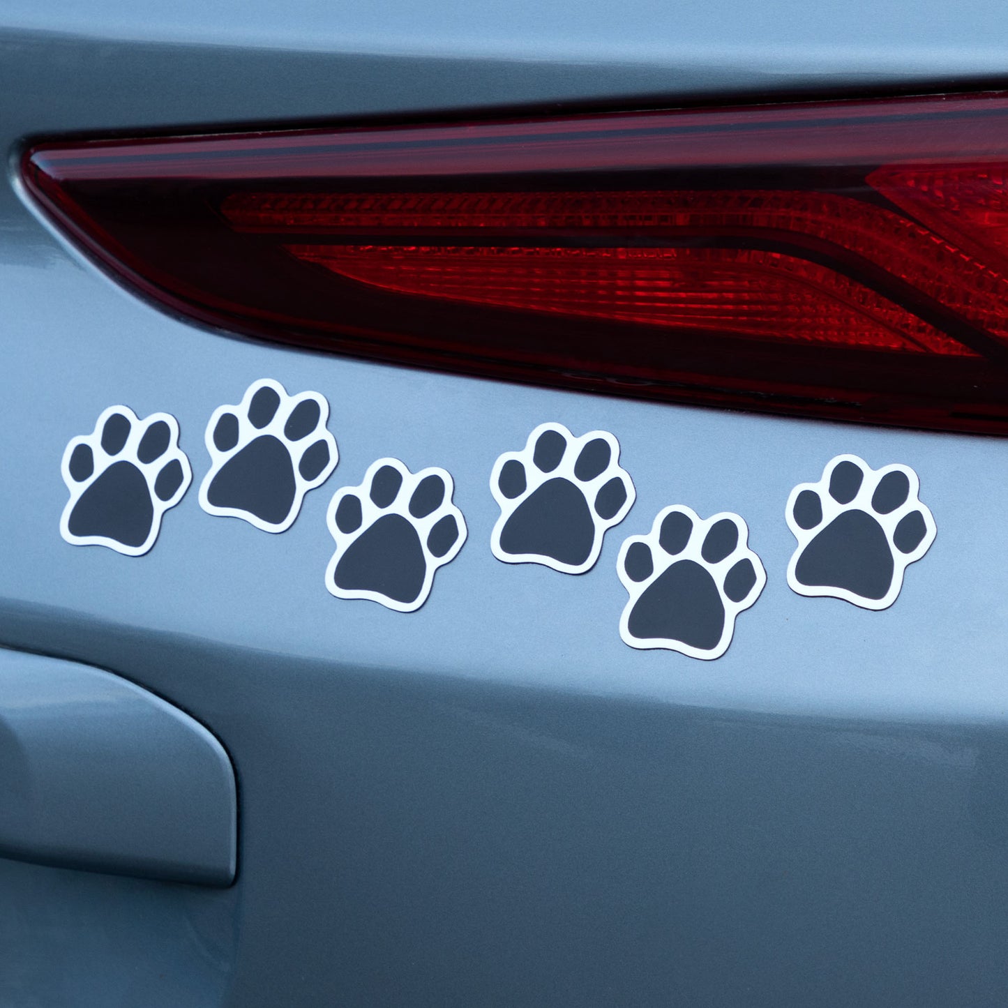 Paw Print Mini Car Magnets Set