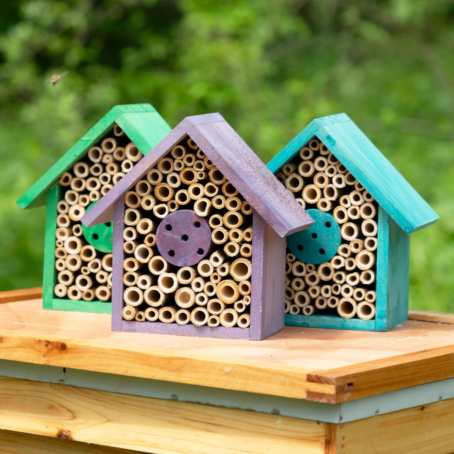 Wooden Mason Bee House